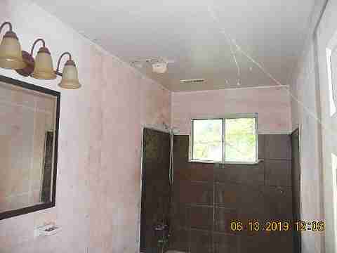 15017 Dolphin (18)_m.jpg